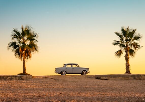 Behind the scenes hatchery tour