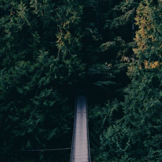 Guided fishing session at Sedona Rainbow Trout Farm